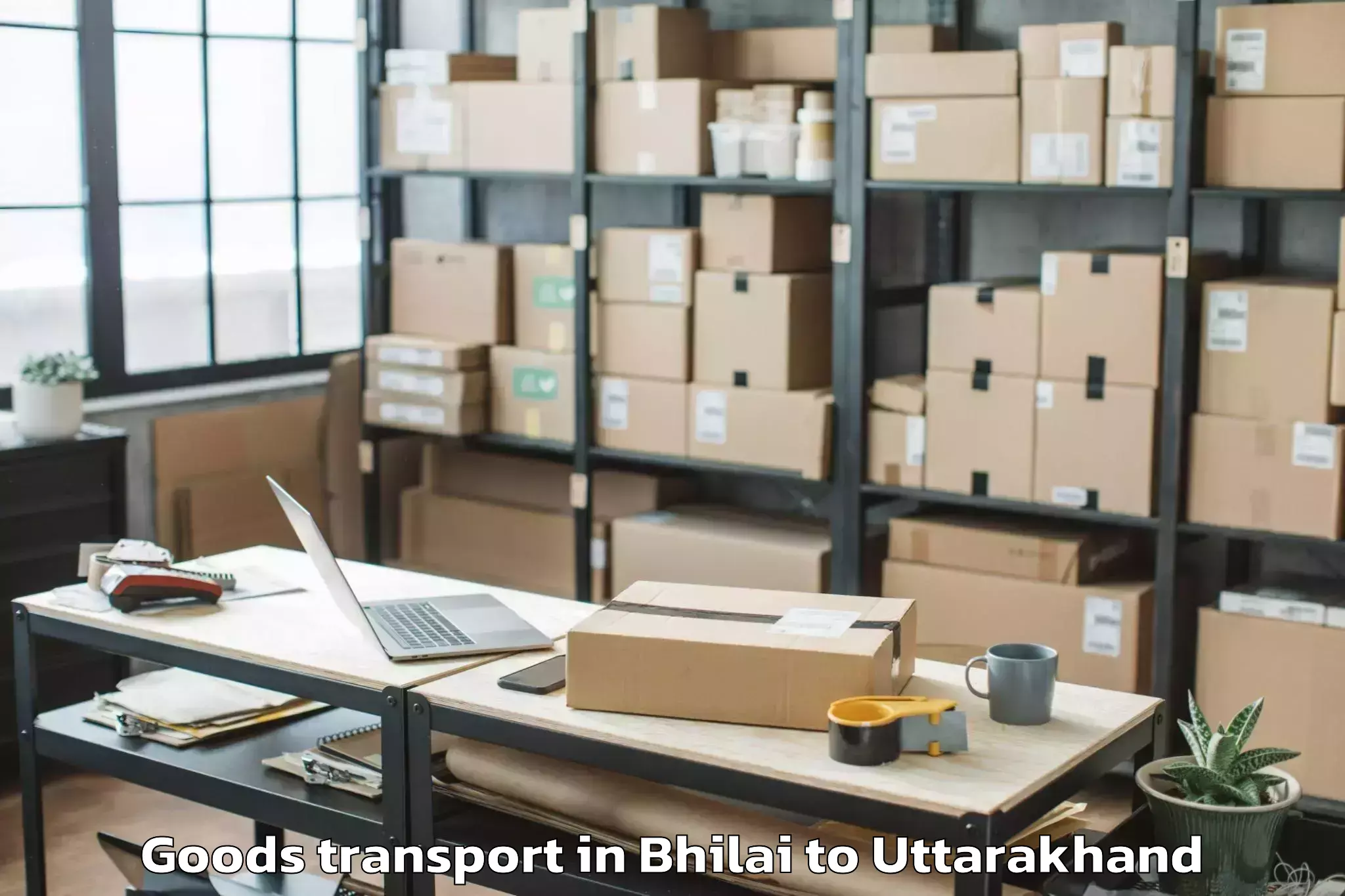 Leading Bhilai to Lalkuan Goods Transport Provider